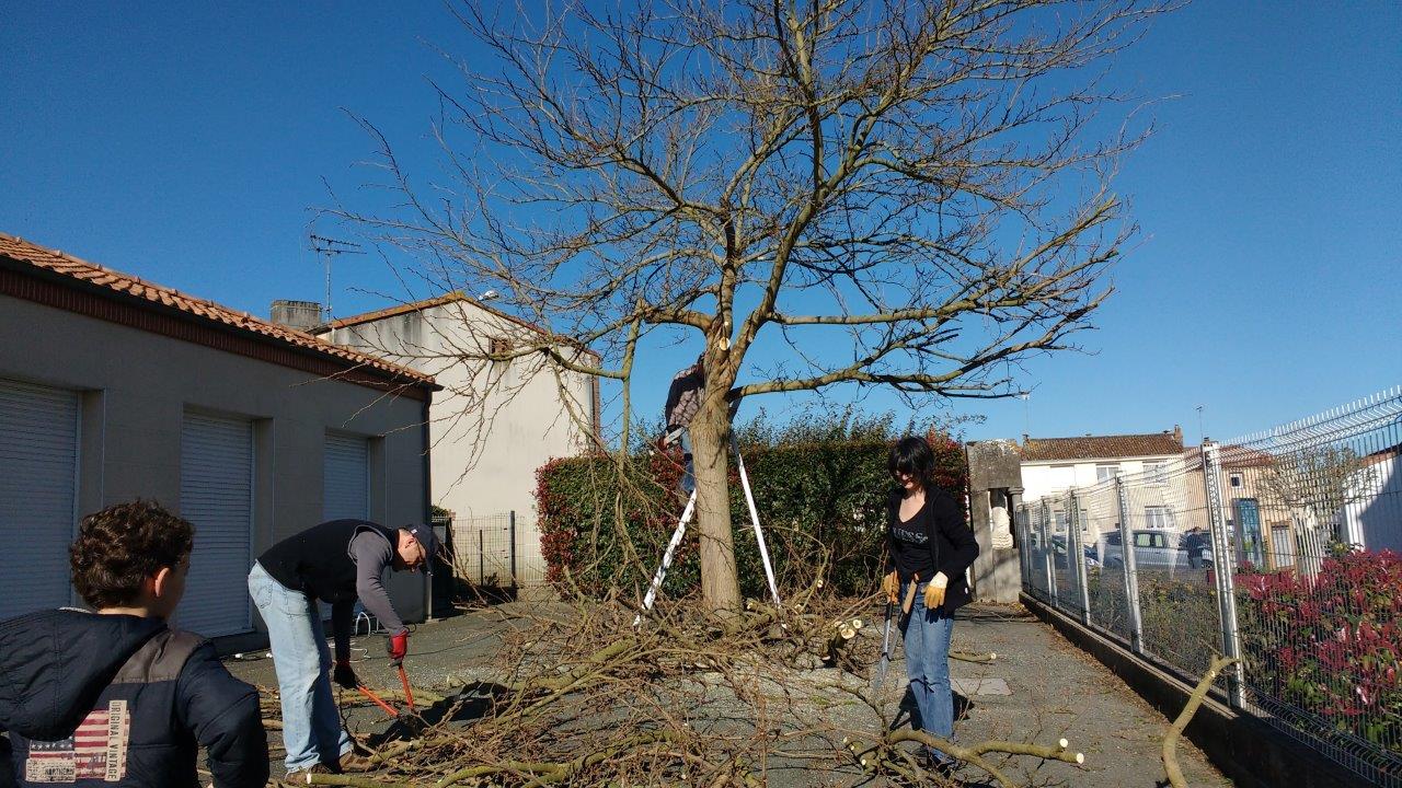 Img 20160412 101746291 1