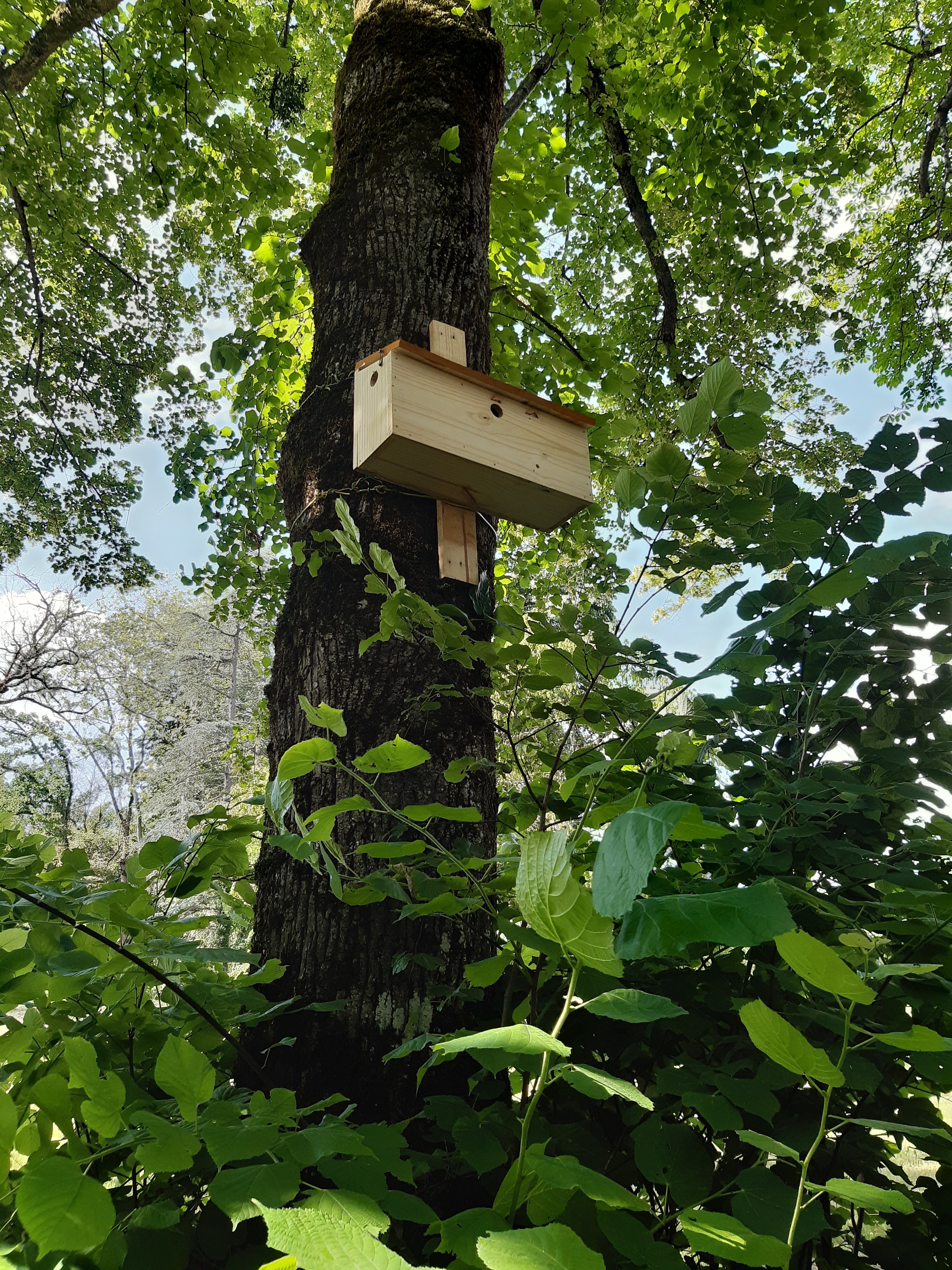 Nichoirs et cabanes a oiseaux 3 