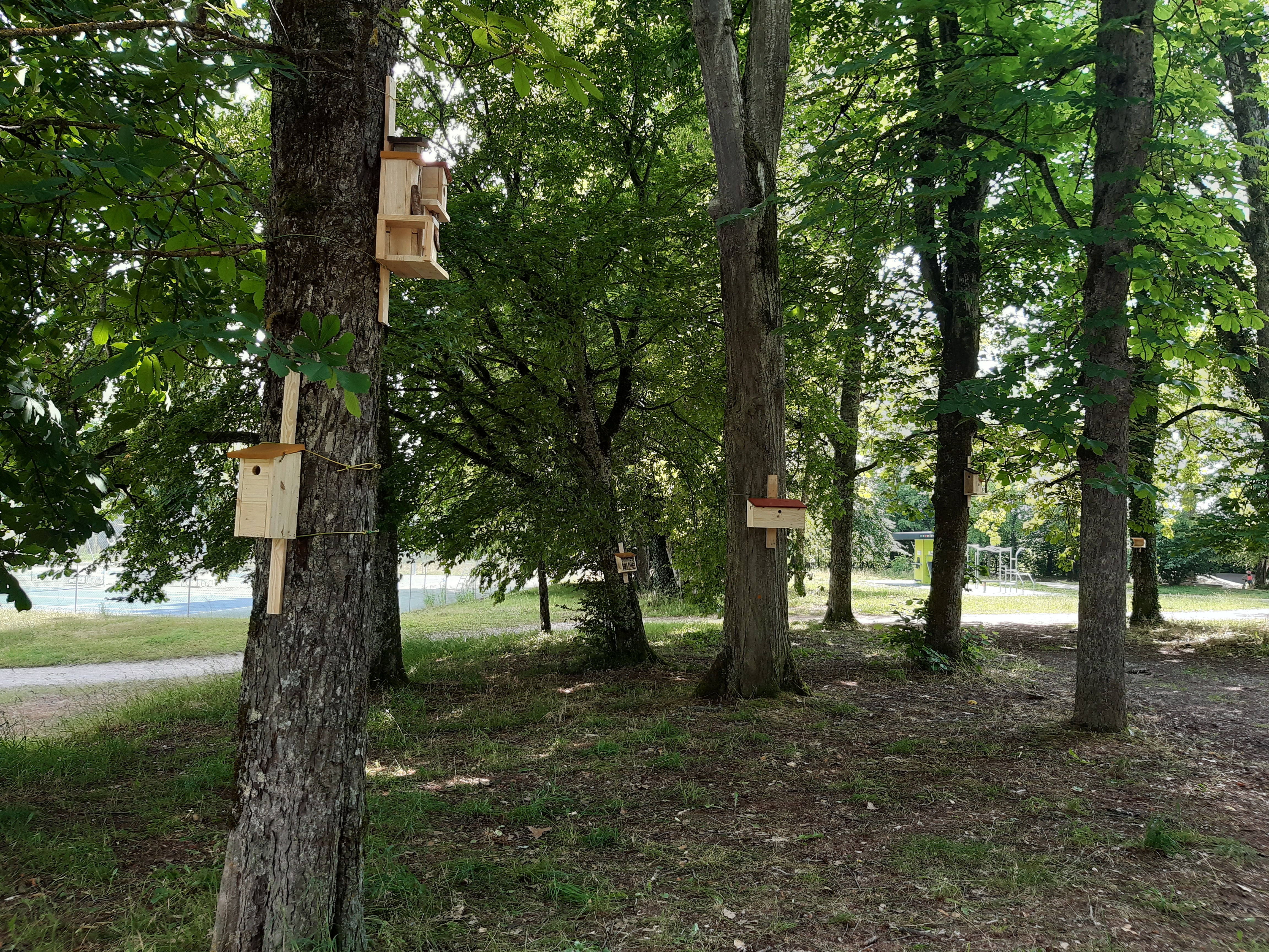 Nichoirs et cabanes a oiseaux 1 