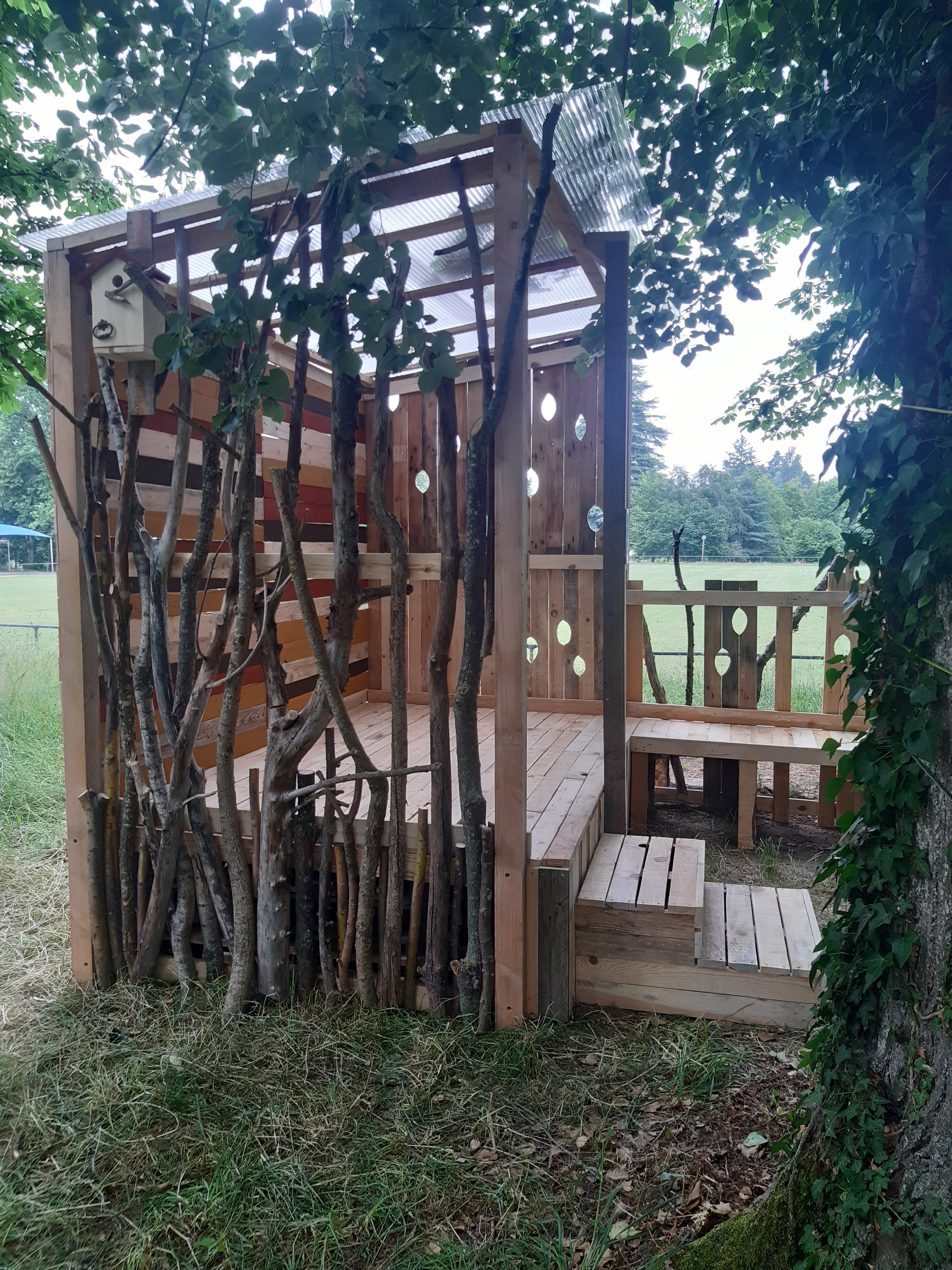 Mon voisin est un arbre archi nature 2023 6 