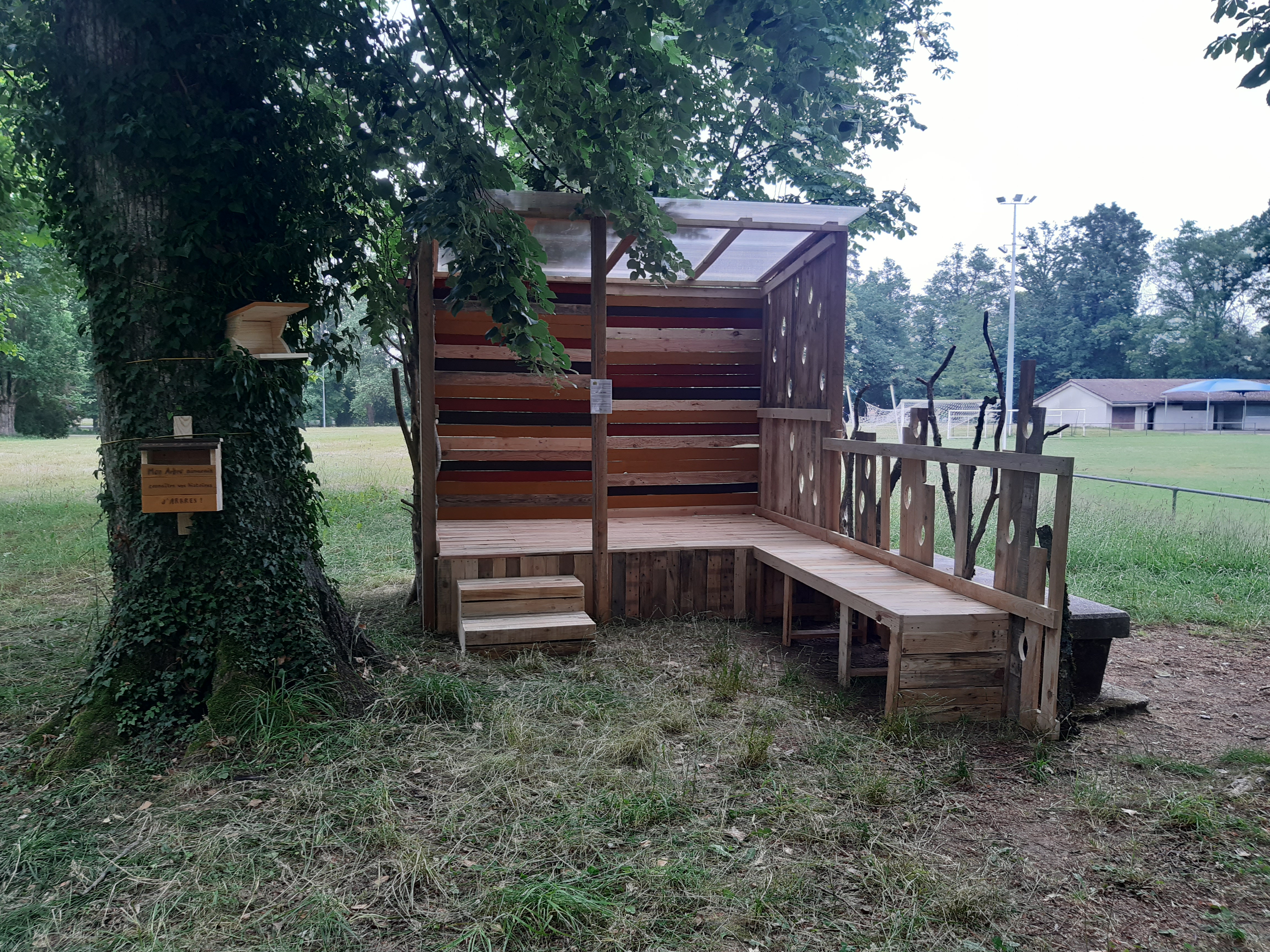 Mon voisin est un arbre archi nature 2023 2 