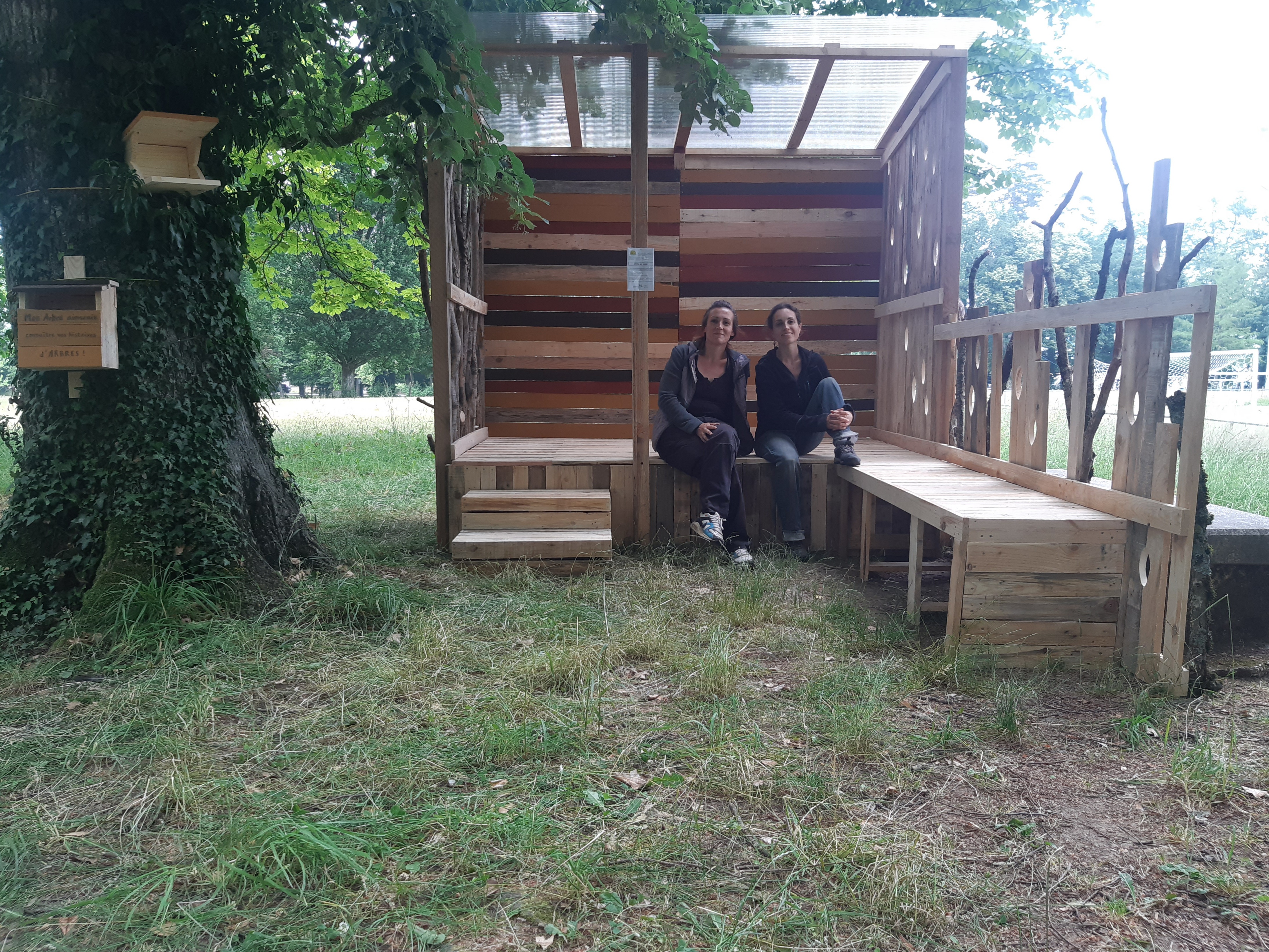 Mon voisin est un arbre archi nature 2023 1 