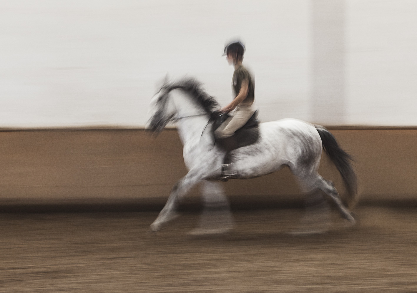 Haras viticole 24