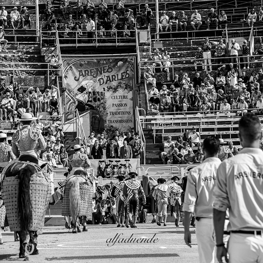 20210703 arles alfaduende 0002