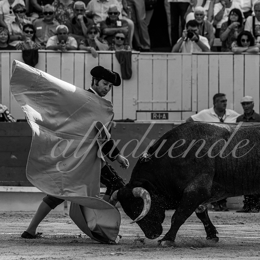 20210703 arles alfaduende 0004