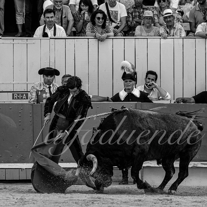 20210703 arles alfaduende 0005