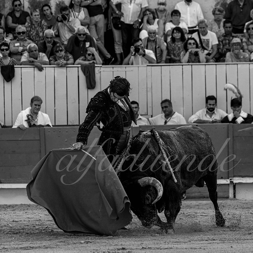 20210703 arles alfaduende 0006