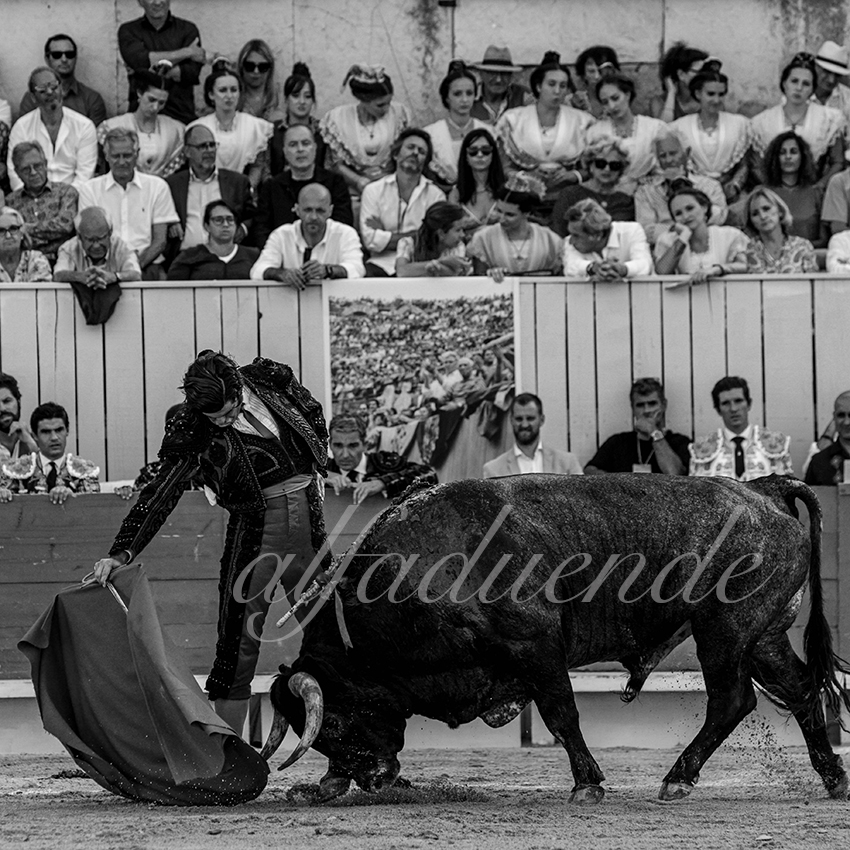 20210703 arles alfaduende 0007