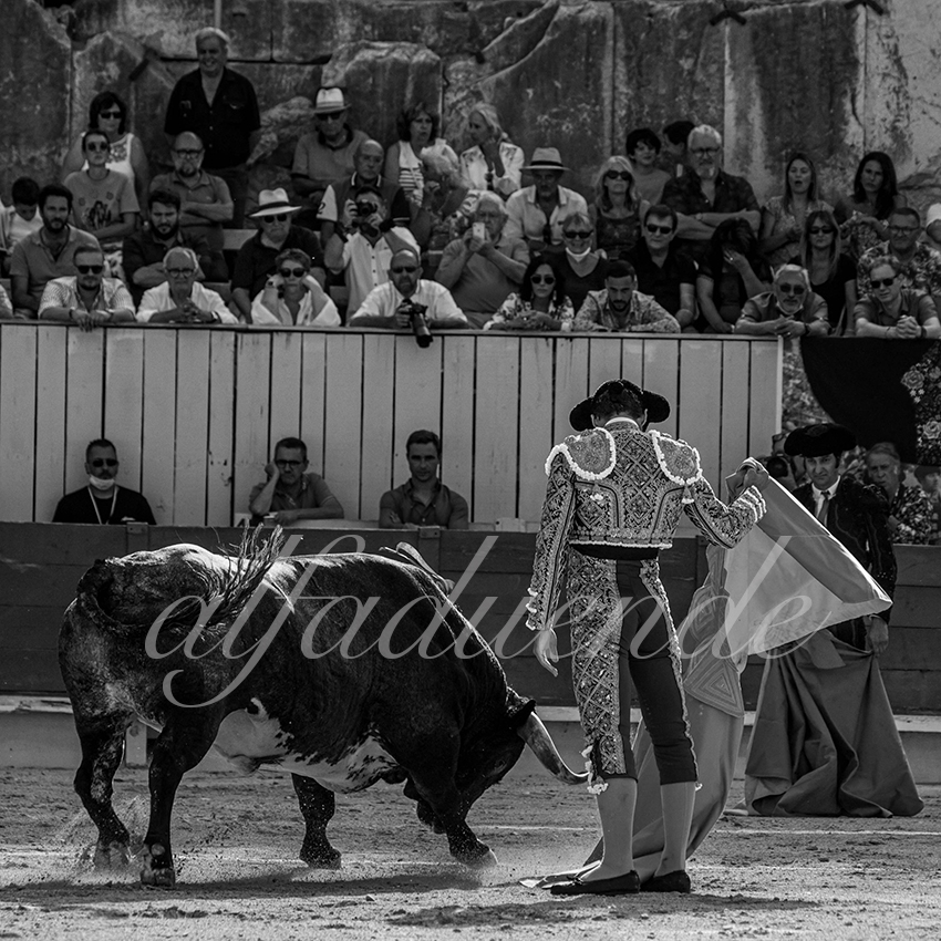 20210703 arles alfaduende 0008