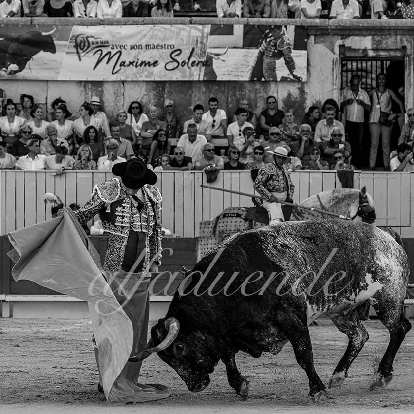 20210703 arles alfaduende 0009