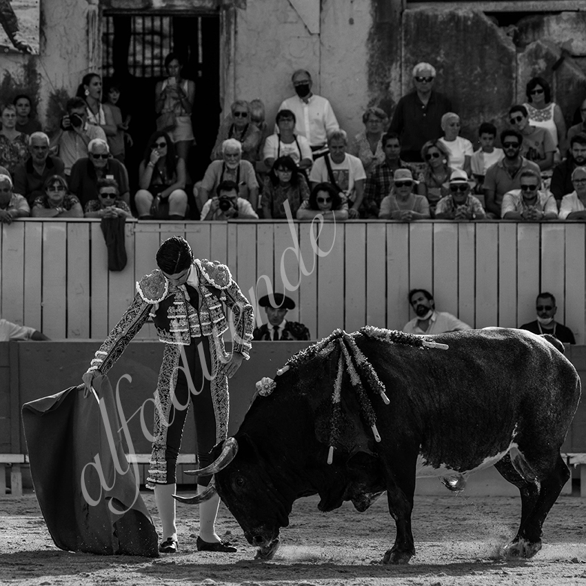 20210703 arles alfaduende 0010