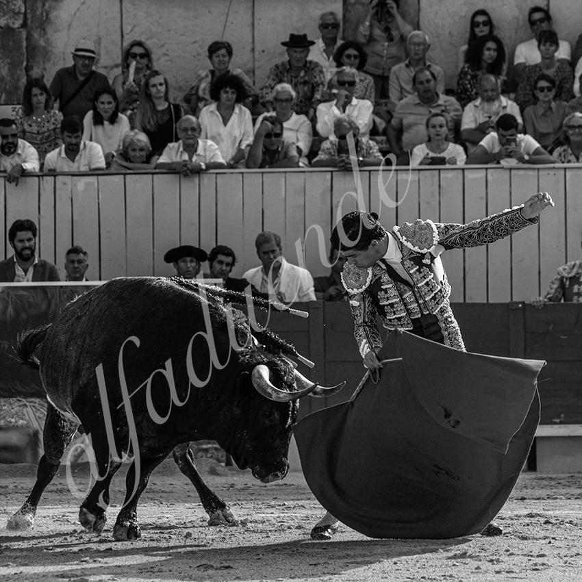 20210703 arles alfaduende 0011