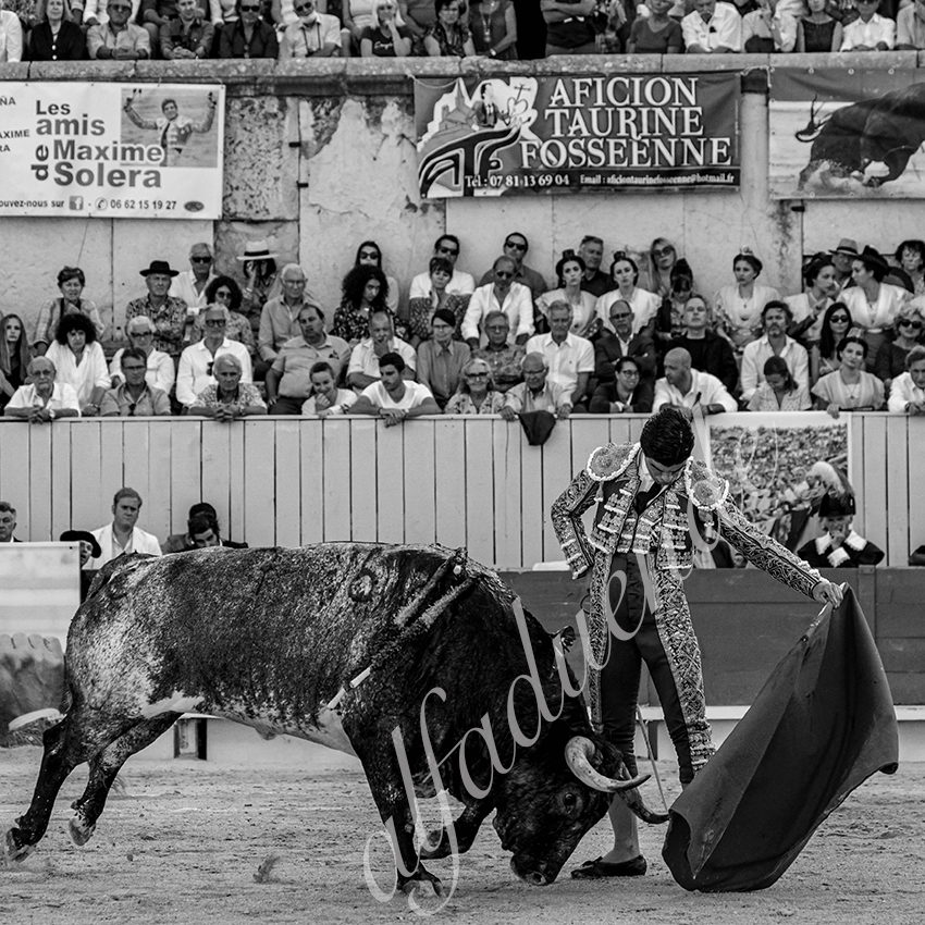 20210703 arles alfaduende 0013