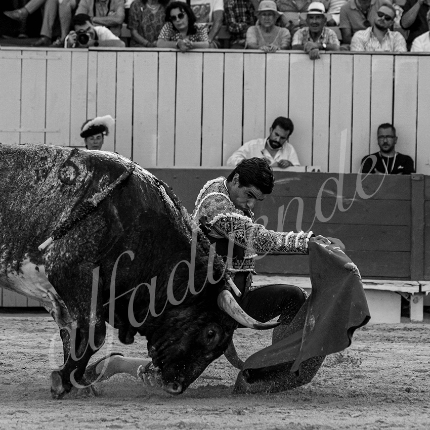 20210703 arles alfaduende 0014