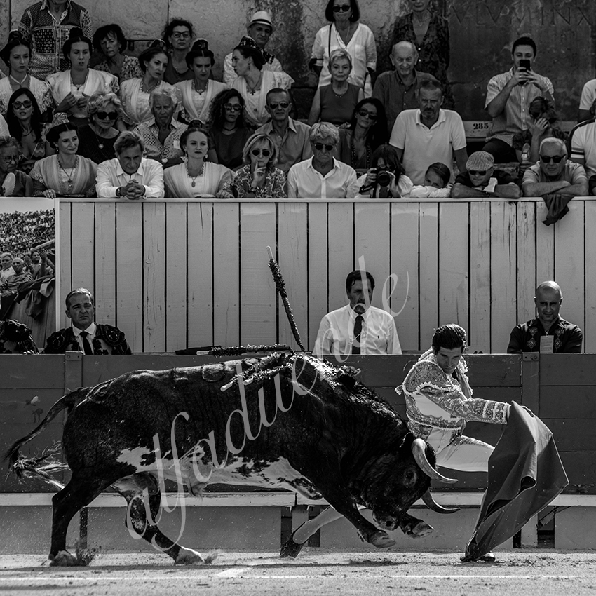 20210703 arles alfaduende 0016