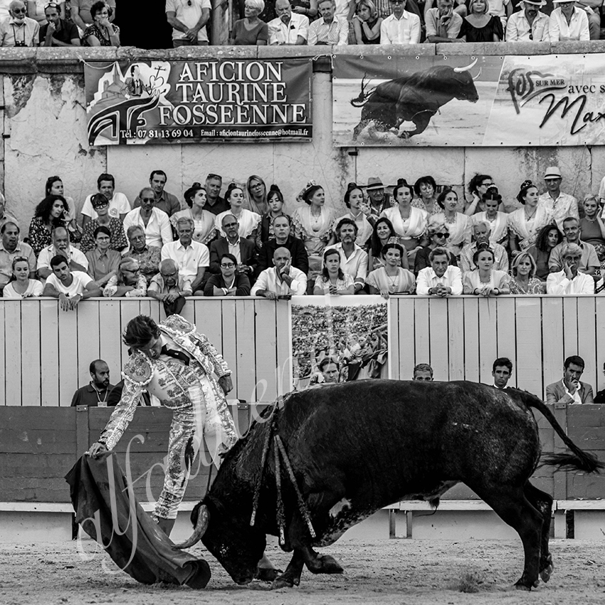 20210703 arles alfaduende 0017