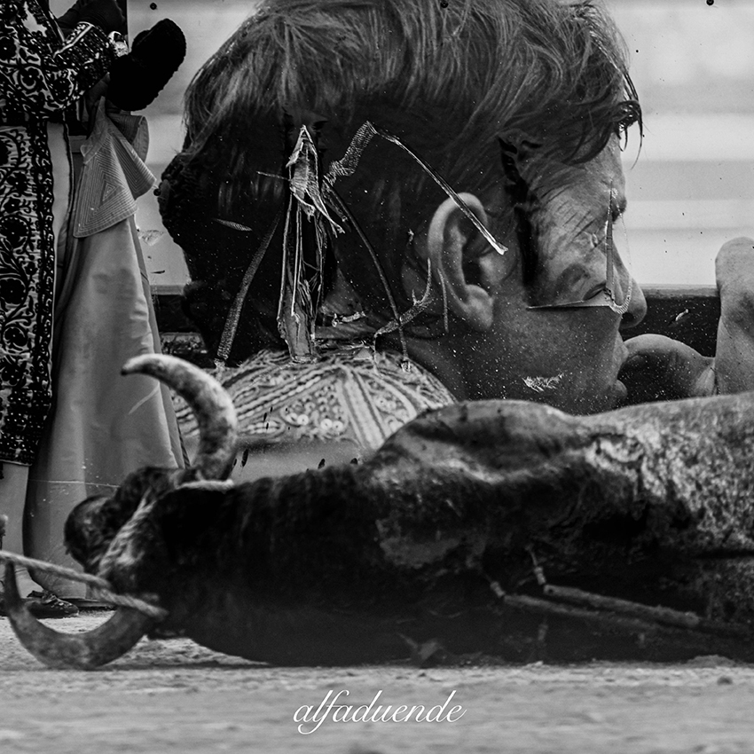 20210703 arles alfaduende 0019