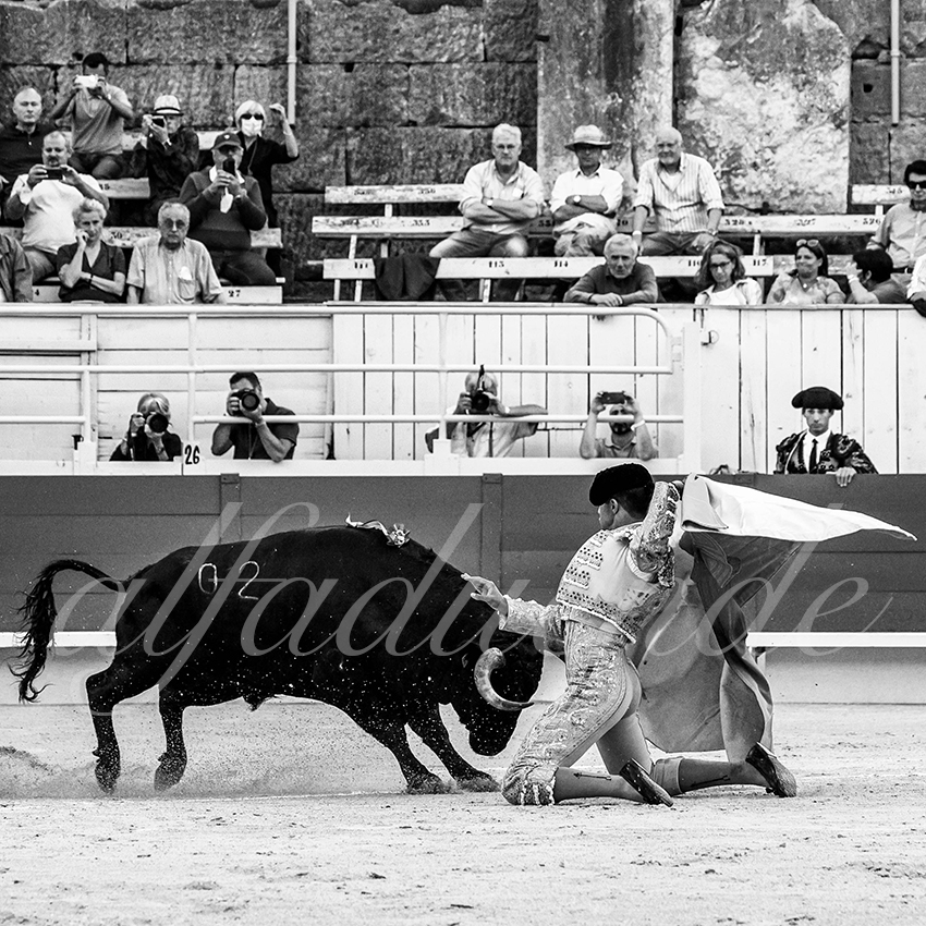 Arles 20210910 alfaduende 002 fd