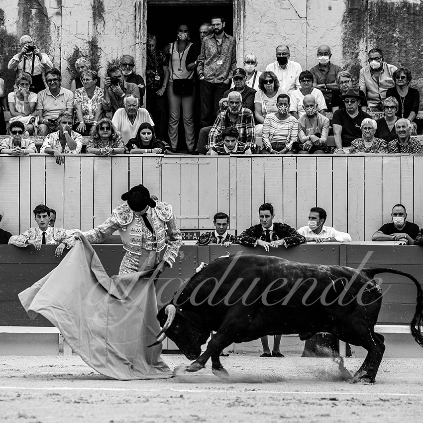 Arles 20210910 alfaduende 003 fd