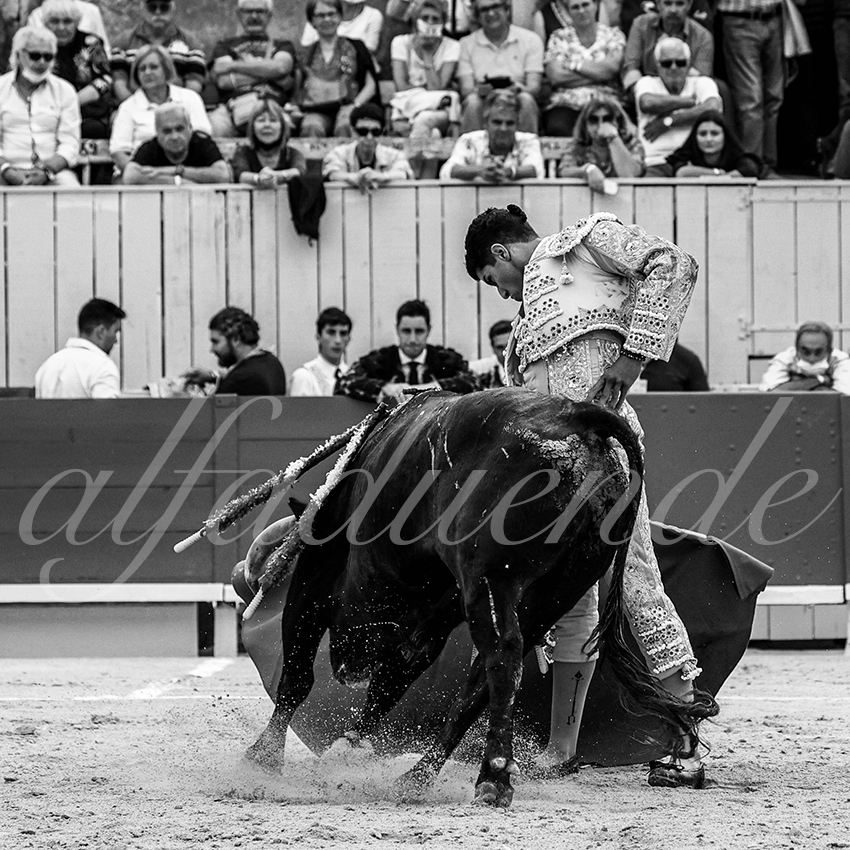 Arles 20210910 alfaduende 004 fd