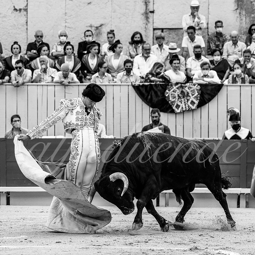 Arles 20210910 alfaduende 005 fd