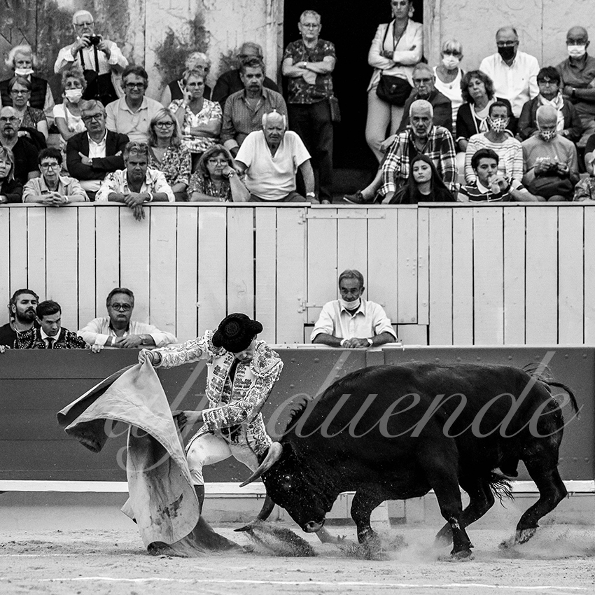 Arles 20210910 alfaduende 006 fd