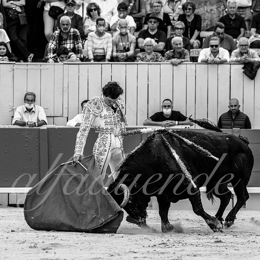 Arles 20210910 alfaduende 007 fd