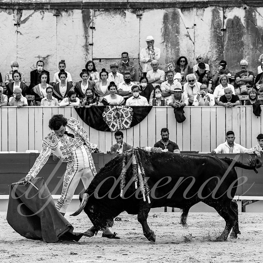 Arles 20210910 alfaduende 008 fd