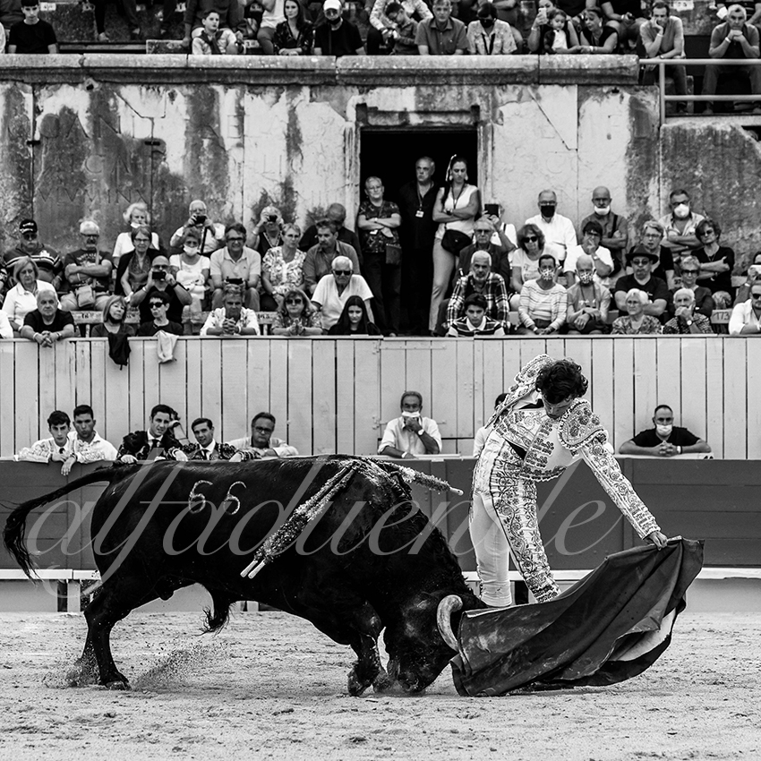 Arles 20210910 alfaduende 009 fd