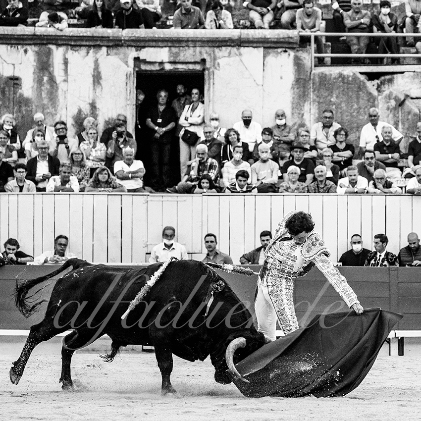 Arles 20210910 alfaduende 010 fd