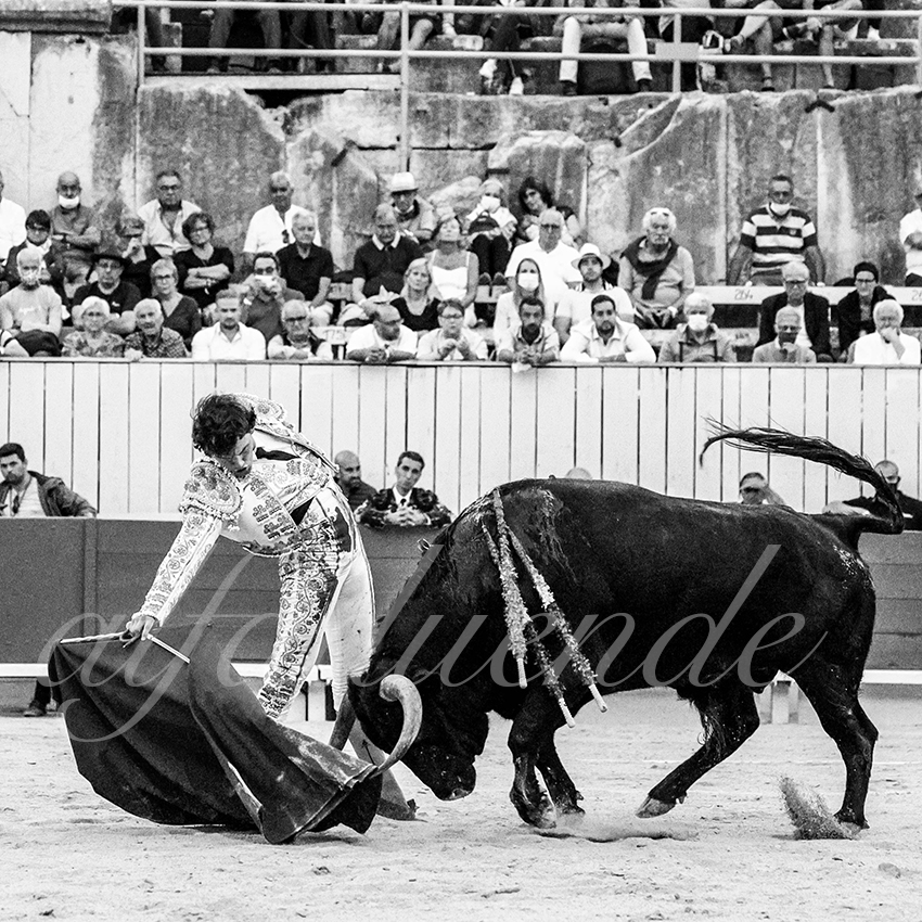 Arles 20210910 alfaduende 011 fd