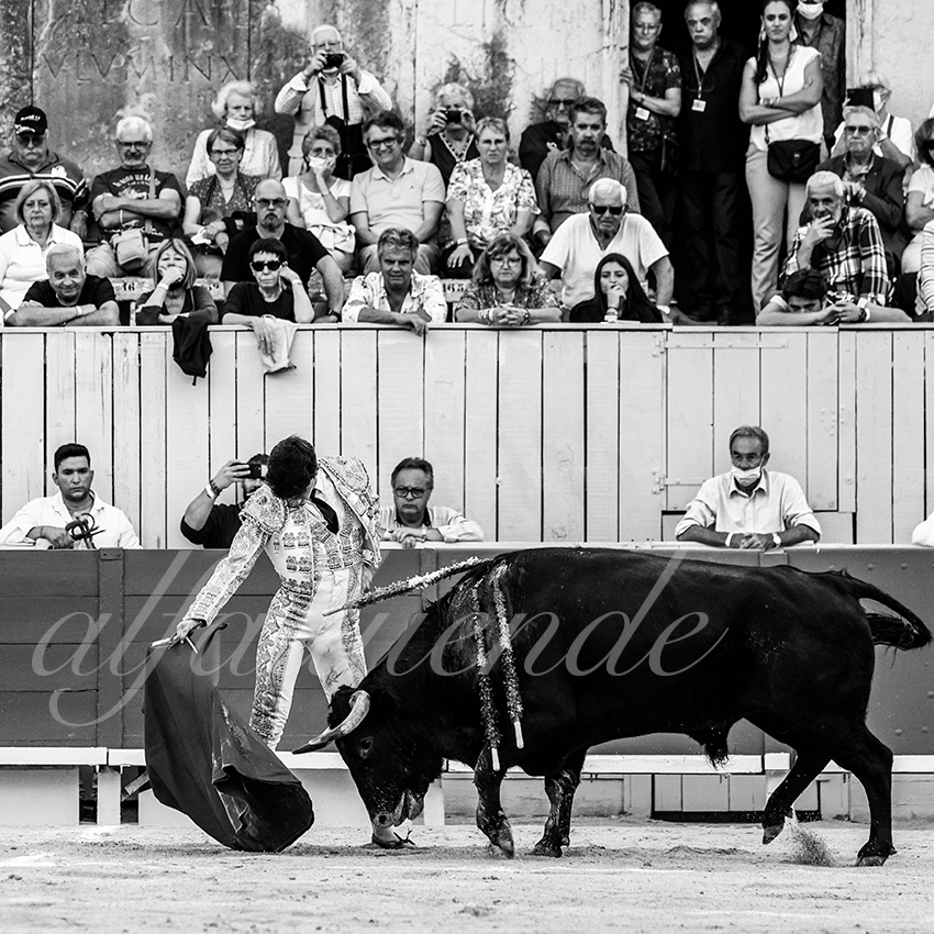 Arles 20210910 alfaduende 012 fd