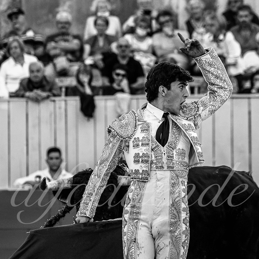 Arles 20210910 alfaduende 013 fd