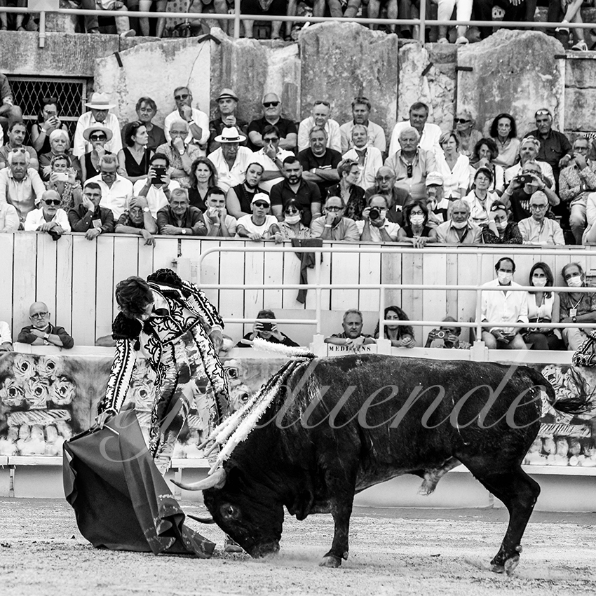 Arles 20210911 alfaduende 021 fd