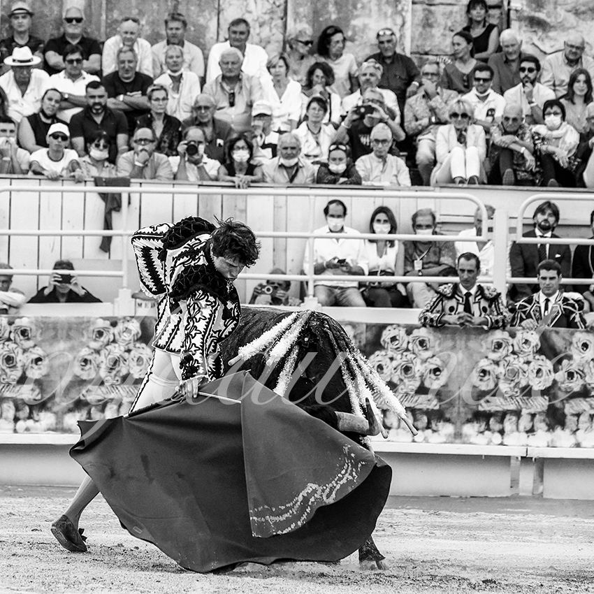 Arles 20210911 alfaduende 022 fd