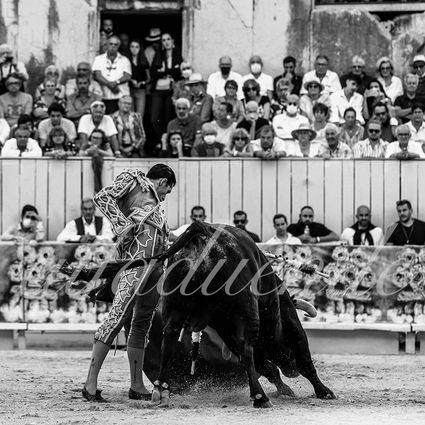 Arles 20210911 alfaduende 023 fd