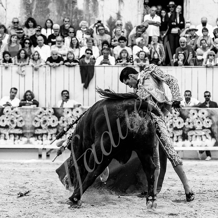 Arles 20210911 alfaduende 024 fd