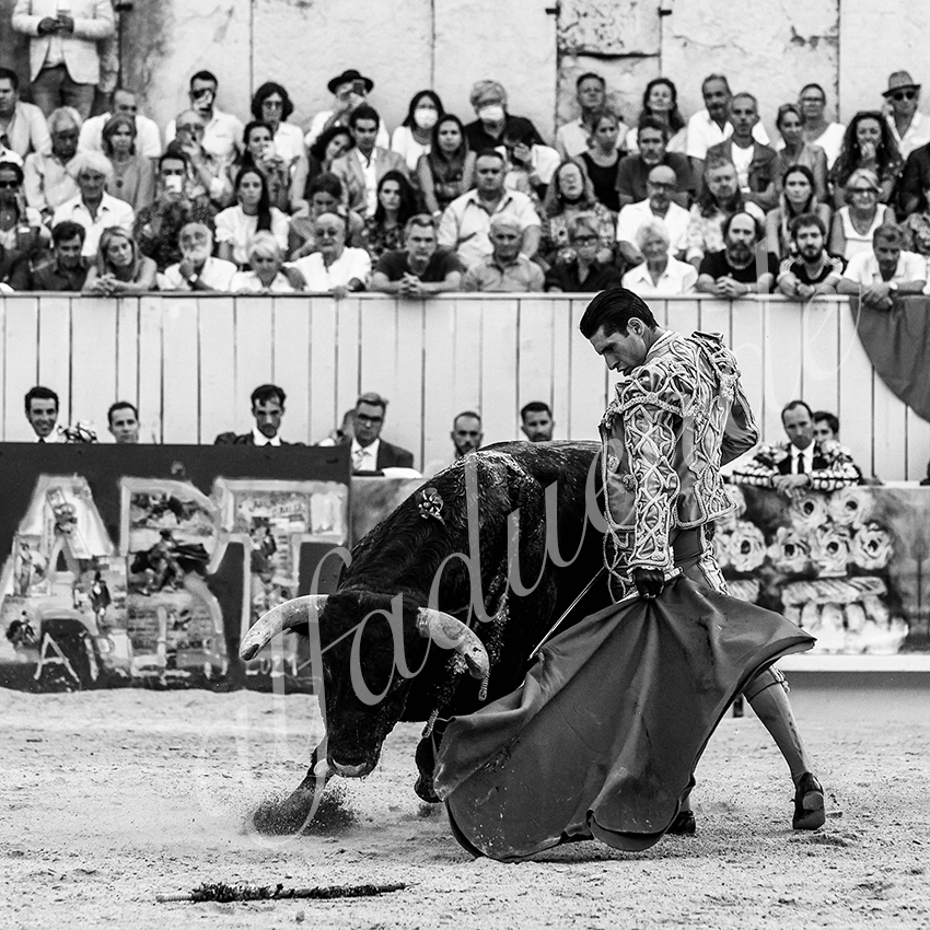 Arles 20210911 alfaduende 025 fd