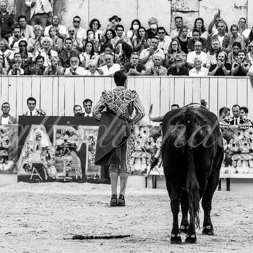 Arles 20210911 alfaduende 026 fd