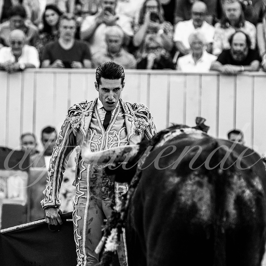 Arles 20210911 alfaduende 027 fd