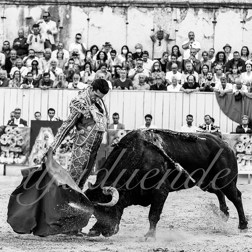 Arles 20210911 alfaduende 028 fd