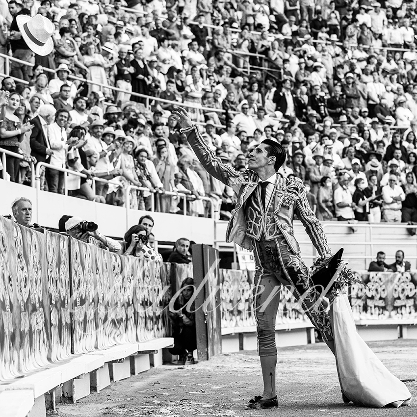 Arles 20210911 alfaduende 029 fd