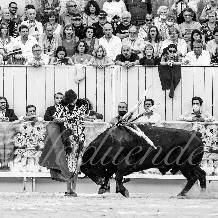 Arles 20210911 alfaduende 031 fd