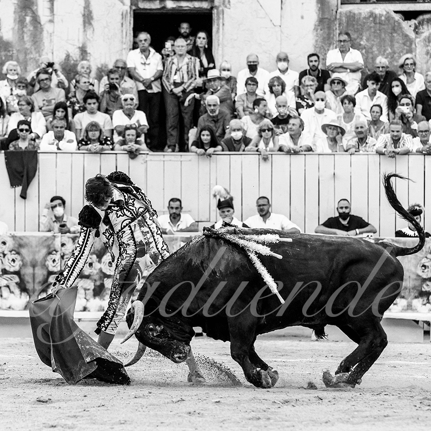 Arles 20210911 alfaduende 032 fd