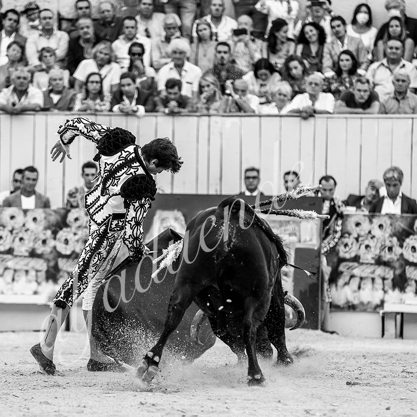 Arles 20210911 alfaduende 033 fd