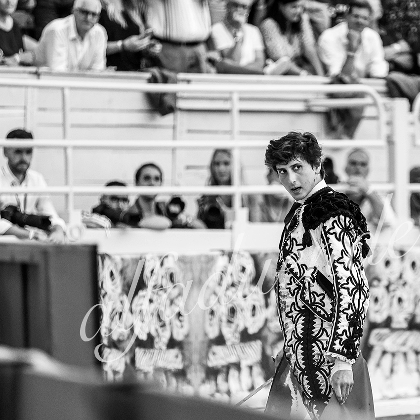 Arles 20210911 alfaduende 035 fd