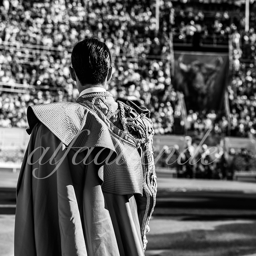 Arles 20210911 alfaduende 003 fd