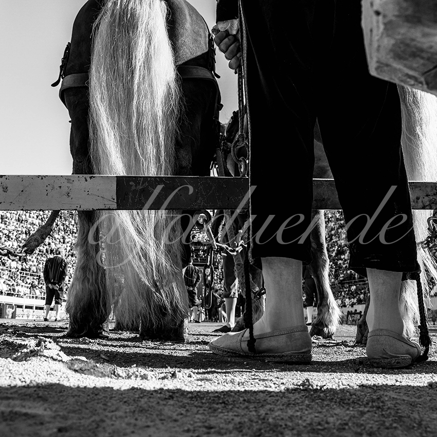 Arles 20210911 alfaduende 004 fd