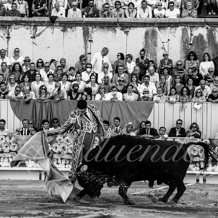 Arles 20210911 alfaduende 005 fd