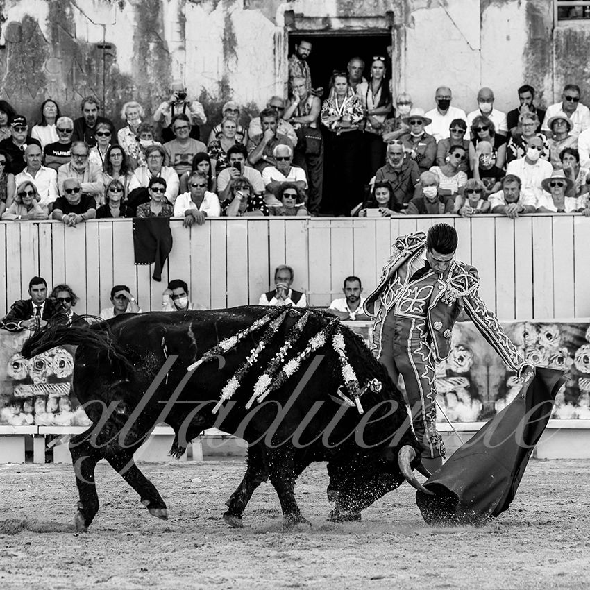 Arles 20210911 alfaduende 007 fd